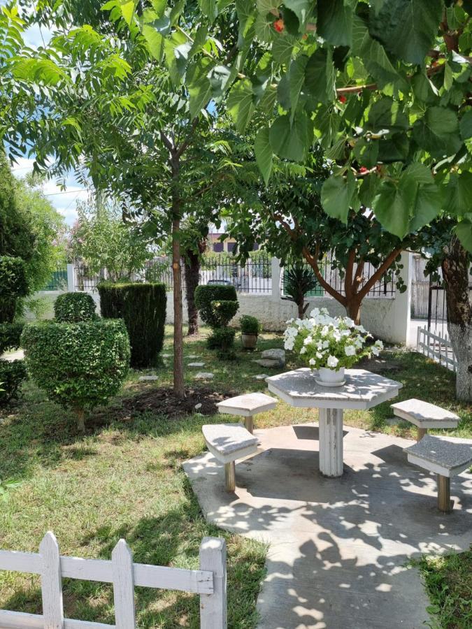 Guest House Vila Elezi Δυρράχιο Εξωτερικό φωτογραφία